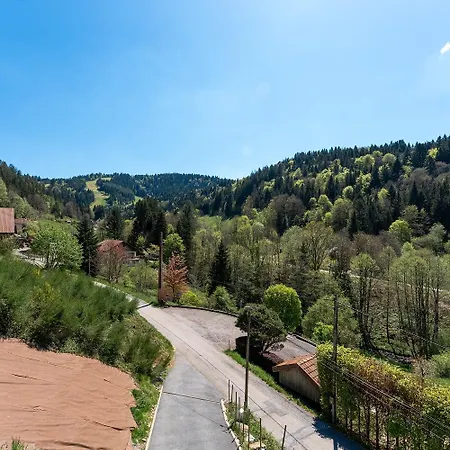 Victorine, Vue Imprenable Avec Chalet Gérardmer